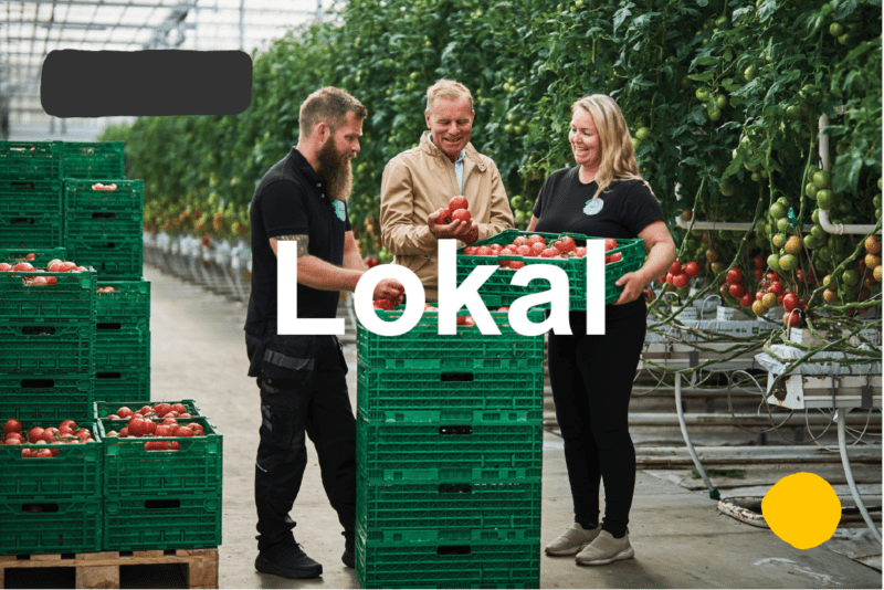 Lokal