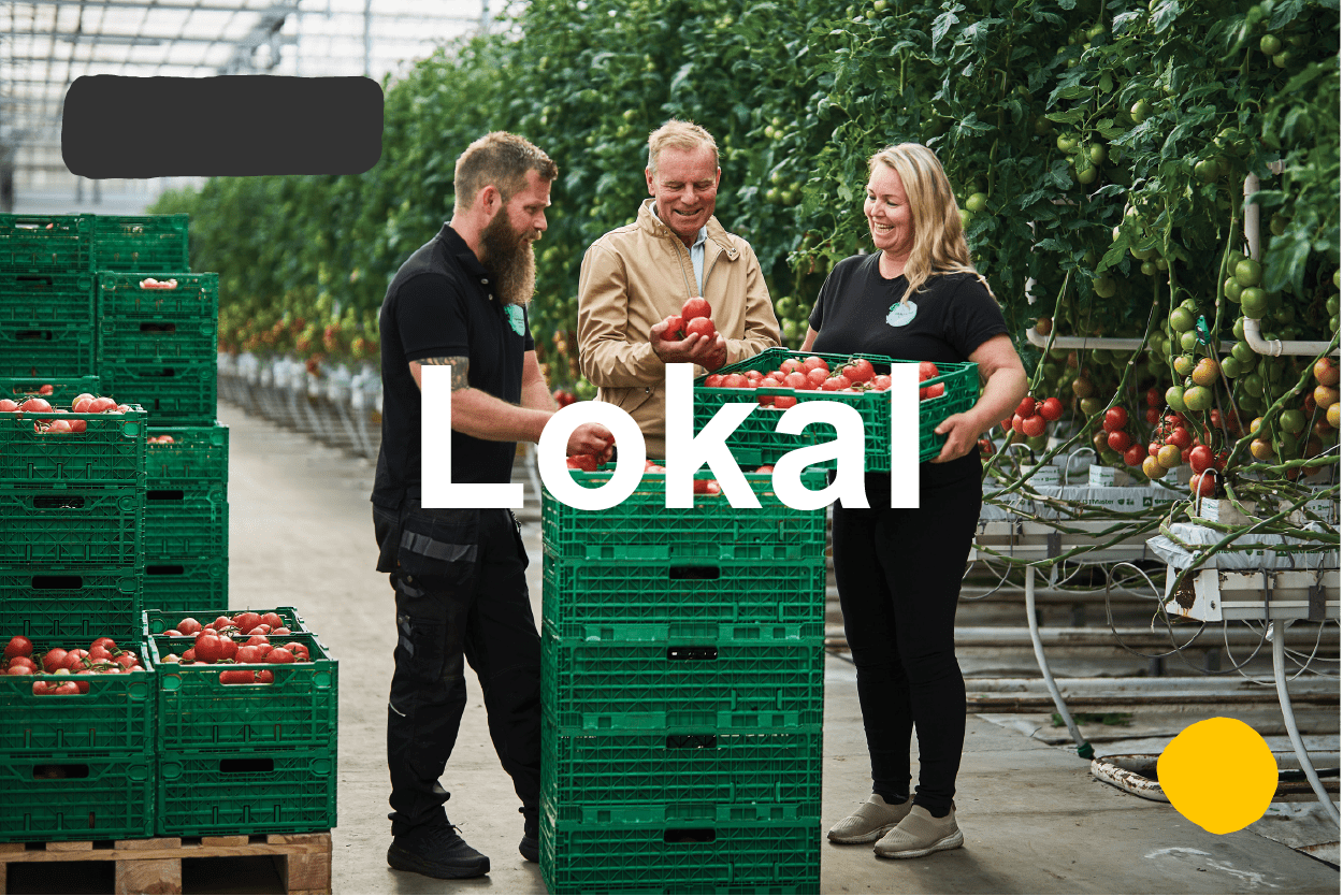 Lokal
